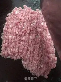 Make A meat dumpling step 0