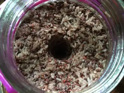 Make Red wine step 8