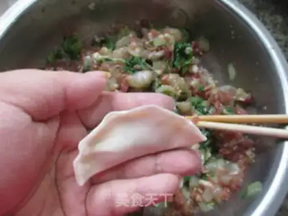 Make Shrimp dumplings step 15