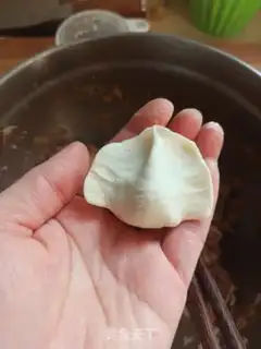 Make Piggy dumplings step 9