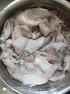 Make Fire the squid step 0