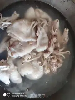 Make Fire the squid step 3