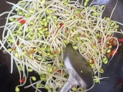 Make Soybean sprouts step 2