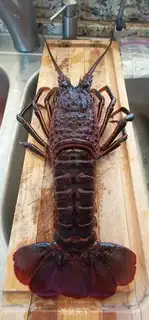 Make Garlic cheese lobster step 0