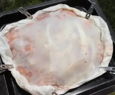 Make Onion roasting wings step 3
