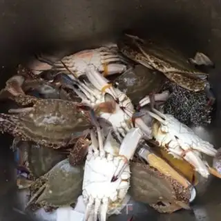 Make Crabs step 0