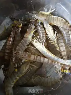 Make Shrimp step 0