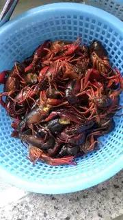 Make A cool 13-smelt lobster step 3