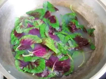 Make Old chicken powder on the field step 4