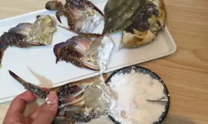 Make Crabs step 1