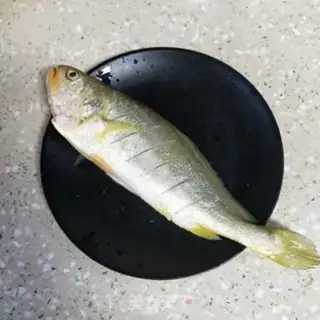 Make Squirt the yellowfish step 0