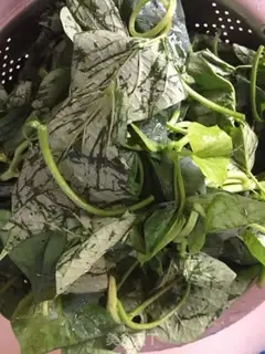 Make Red potato leaves step 0