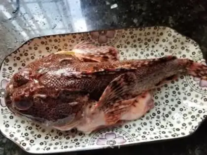 Make Tofu step 0