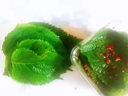 Make Garlic pepper sauce suco leaves step 11