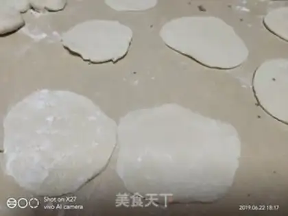 Make Shrimp pork dumplings step 4