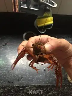 Make Hot lobster step 1
