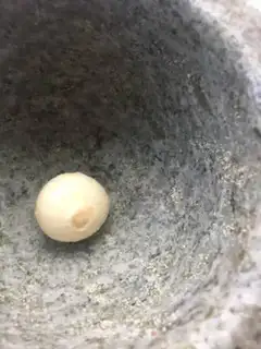 Make Garlic orchids step 7