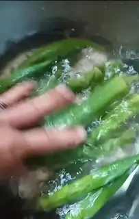 Make The white sunflower step 0