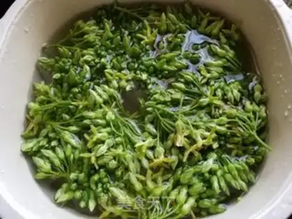Make Night orchid soup step 0