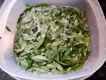 Make Night orchid soup step 1