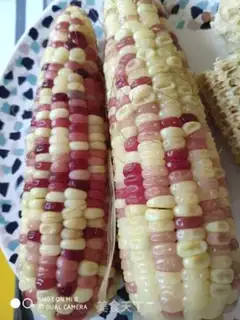 Make Fry corn step 0