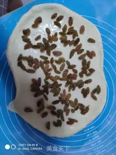 Make raisin bread step 5
