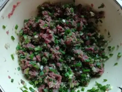 Make Beef dumplings step 3