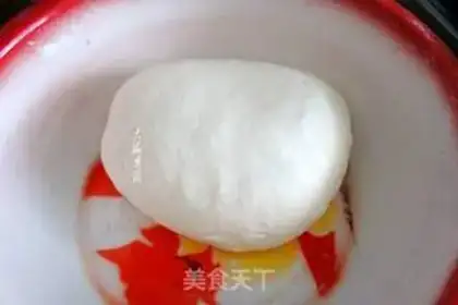 Make Wild pickle egg dumplings step 0