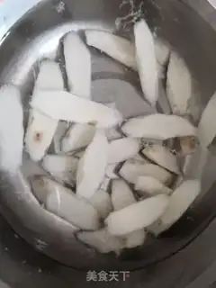 Make Mysid shrimp indoctrination step 3