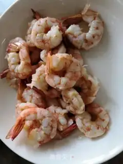 Make Mysid shrimp indoctrination step 8