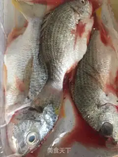 Make The yellow feet of the tide step 0