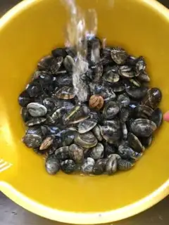 Make Spicy peppers and hot clams step 0