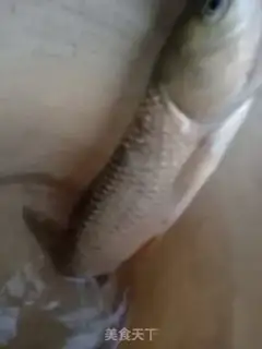 Make Squirrel fish step 1