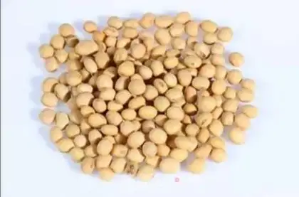 Make Homemade soy sauce step 0