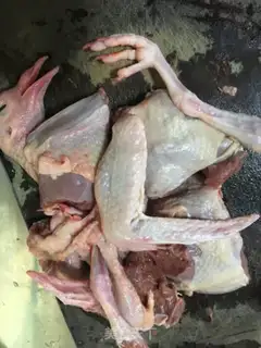 Make Old pigeon green bean soup step 1