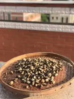 Make Homemade beryllium dry step 5