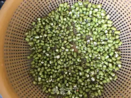 Make Auto green bean sprouts step 1