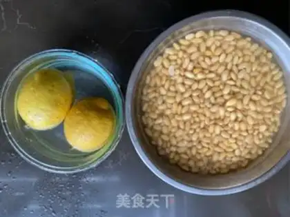 Make Lemon some tofu step 0