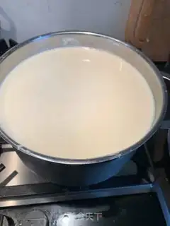 Make Lemon some tofu step 3