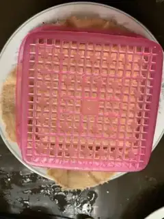 Make Lemon some tofu step 12
