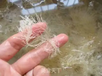 Make Seastone grass and jelly step 0