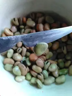 Make Taste beans step 1