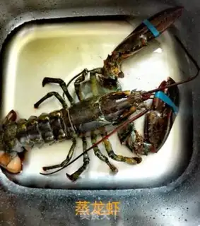 Make Steam lobster step 0