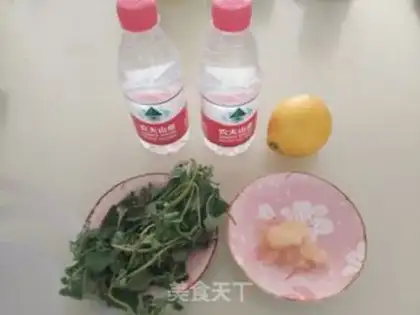 Make Lemon mint step 0