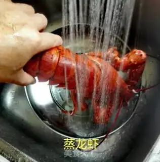 Make Steam lobster step 5