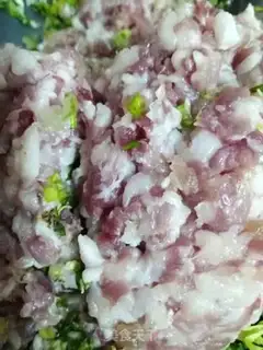 Make Onion pig meat step 0