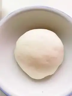 Make Chicken mushroom bag step 7