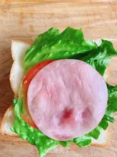 Make Delicious sandwich step 5