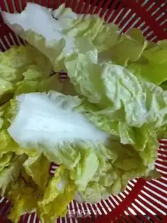Make Onion pig meat step 1
