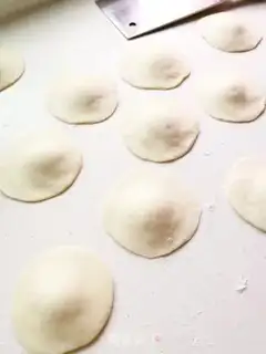 Make Chicken mushroom bag step 13
